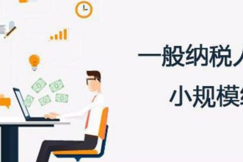 拉薩的一般納稅人和小規(guī)模納稅人納稅方式以及認定資格是什么？同內(nèi)地企業(yè)有區(qū)別嗎？