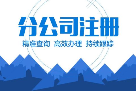 在拉薩設(shè)立分公司的流程、所需材料、辦理時間