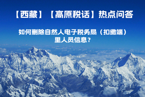 如何刪除西藏自然人電子稅務(wù)局（扣繳端）里人員信息？