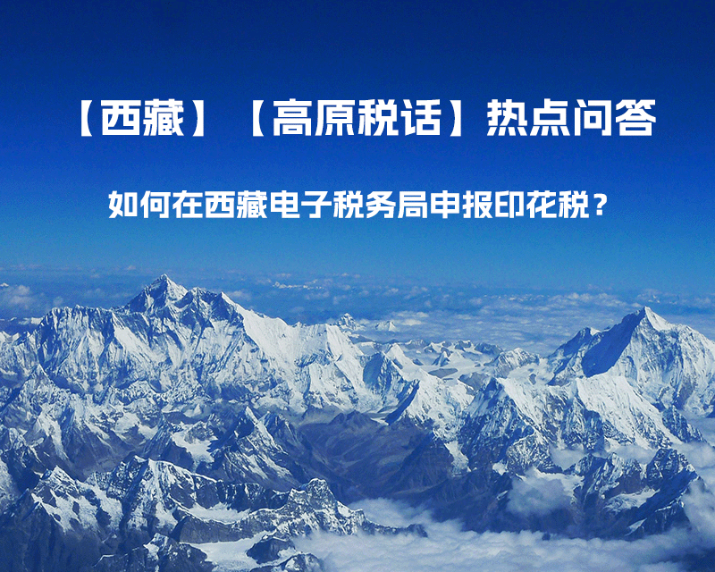 如何在西藏自治區(qū)電子稅務(wù)局申報印花稅？