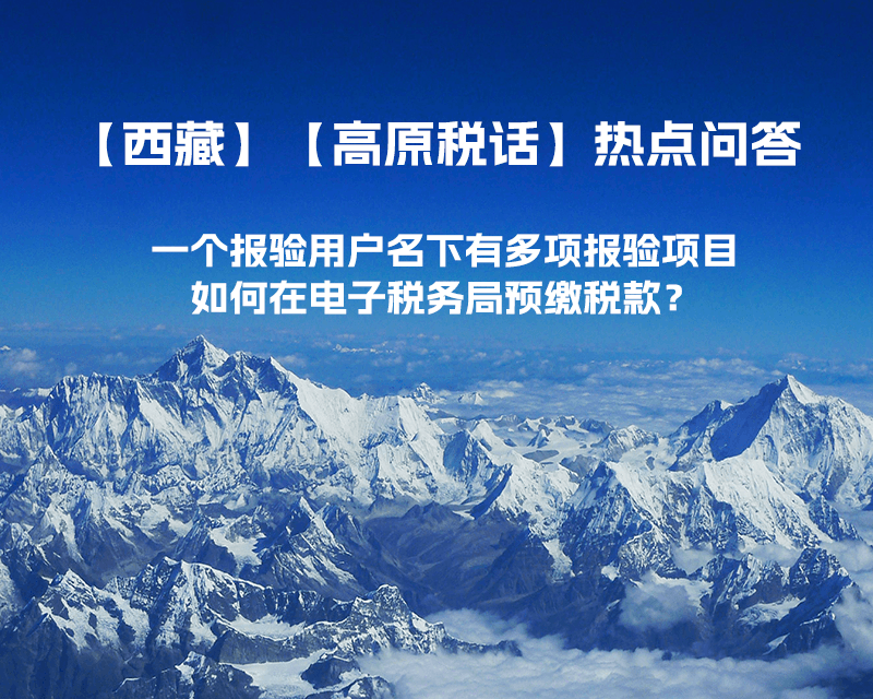 一個報驗用戶名下有多項報驗項目，如何在電子稅務局預繳稅款？