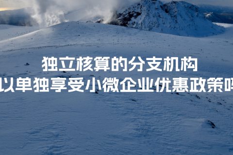 獨(dú)立核算的分支機(jī)構(gòu)可以單獨(dú)享受小微企業(yè)優(yōu)惠政策嗎？