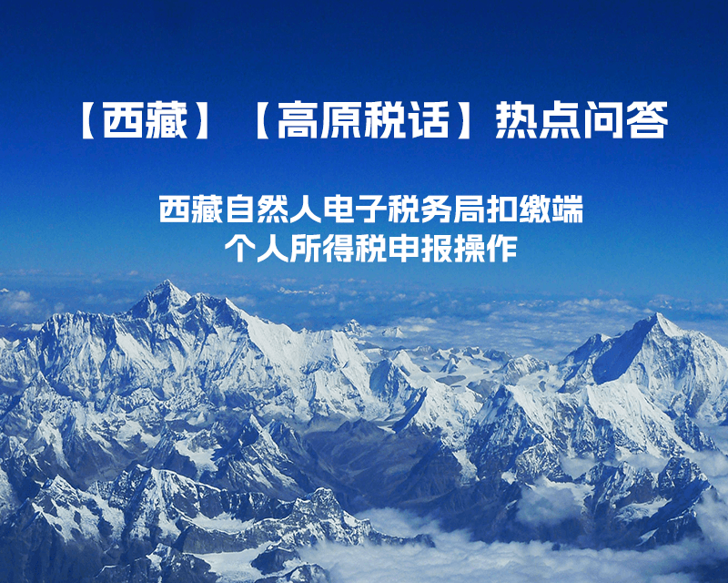 西藏自然人電子稅務(wù)局扣繳端個(gè)人所得稅申報(bào)操作